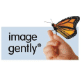 Image Gently Certification Seal